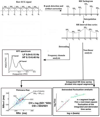 Early transient dysautonomia predicts the risk of infantile epileptic spasm syndrome onset: A prospective cohort study